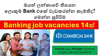 Latest Banking Job Vacancies at Commercial Bank Sri Lanka  2024 Recruitment Opportunities [upl. by Agamemnon]