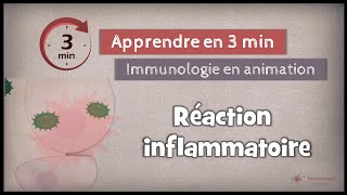 41◽ La réponse inflammatoire I [upl. by Atiuqcaj]