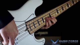 MusicForce Alleva Coppolo LG5 amp RA5 Demo Bassist 이준희 [upl. by Lak]