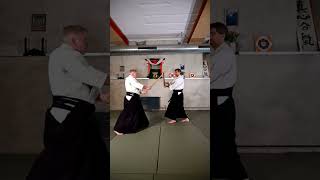 Ichi no kumitachi  一の組太刀  Aikido Virtual Dojo aikido iwama kumitachi [upl. by Ennovyhc]