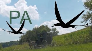 Pterodactyl in Pennsylvania  Wild Animals [upl. by Ennaj]