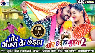 Mor Chhaiya Bhuiya 2  Cg Movie Song  Tor Achara Ke Chhaiya  Chhattisgarhi Gana  Man Diksha  AVM [upl. by Oicapot112]