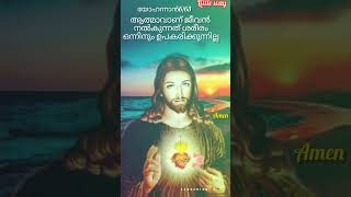 Daily Inspirations Bible words Malayalam 💞 daily read Bible The word is the door of life 💕💕💕 [upl. by Nedrah192]