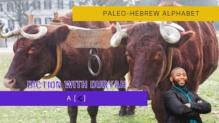 1 Alef  Introduction to Paleo Hebrew Alphabet  Alaph aka Alef aka A Diction with DurYah  Kingdom [upl. by Aerdna]