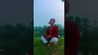 mone chai jareural pongkhi musicbangla song [upl. by Llenrod]