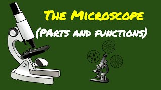 SCIENCE 7 PARTS OF THE MICROSCOPE AND THEIR FUNCTIONS [upl. by Pigeon]