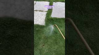 Termite Garden Spray Treatment Work in Villas  SS Pest Control Services [upl. by Imojean978]