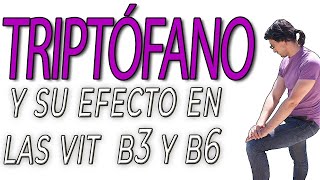 Relación del Triptófano con las vitaminas B3 y B6 [upl. by Atinaj637]