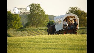 Wanderfahren  unterwegs mit Pferd und Wagen [upl. by Sirad]