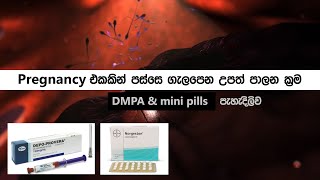 ගැලපෙන උපත් පාලන ක්‍රම 🤷‍♀️  DMPA depo injection  norgeston  upath palana krama sinhala [upl. by Gabbey]