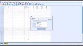 Levels of Measurement in SPSS Nominal Ordinal amp Scale [upl. by Hosfmann]