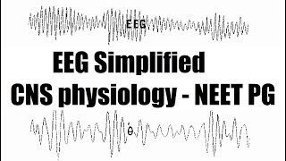 EEG  Electroencephalography with charts   CNS physiology [upl. by Atiuqal927]