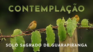 Contemplação  Solo Sagrado de Guarapiranga  LXI [upl. by Range]