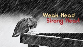 Weak Strong Heart Part 5 Second Service [upl. by Eisinger]