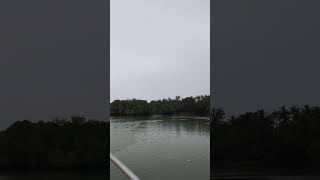 Exploring the Beautiful Mangroves Near Kodi Beach Kundapur  Manipal Coastal Nature [upl. by Seidel604]