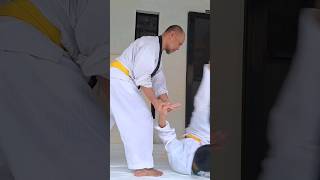 Wrist Twisting Technique  Aikido Kotegaeshi aikido japanmartialarts aikidodojo aikidolife [upl. by Arel]