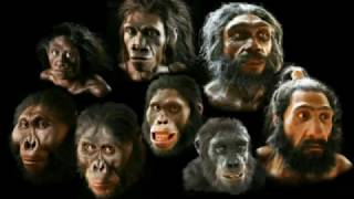 Human evolution part 1 [upl. by Ajdan]