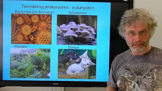 Biologie HV BB De indeling van de levende natuur [upl. by Nomyaw]