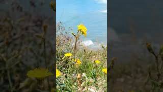 SITGES BEACH BARCELONA IN CATALONIA SPAIN [upl. by Trescha944]