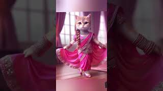 Cat India cat catlover cutecat cutebaby babygirl beautifulcat yt [upl. by Keyser]