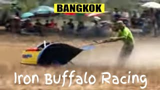 Iron Buffalo racing on the outskirts of Bangkok Thailand [upl. by Snell]