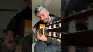 Mihriban Gitar Cover [upl. by Chipman]