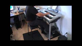 Marco Cerbella plays quotDanse Macabrequot Camille SaintSaëns DDeck Electone [upl. by Oxford217]