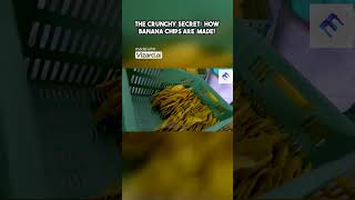 The Crunchy Secret How Banana Chips Are Made [upl. by Ayaladnot]