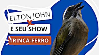 O SHOW PARTICULAR DO MEU TRINCAFERRO ELTON JOHN [upl. by Salokkin]