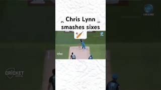 Chris Lynn smashes sixescricket cricketlover cricketlovers cricketfans cricketfever cricketwor [upl. by Eilrak]