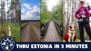 Hiking 830 km through Estonia in 3 minutes [upl. by Oleic]