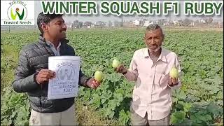 Winter Squash Ruby Panipat Haryana November 2024 [upl. by Isabea]