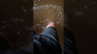 Flooding in Seminole Florida due to Hurricane Helene [upl. by Alleuqram]