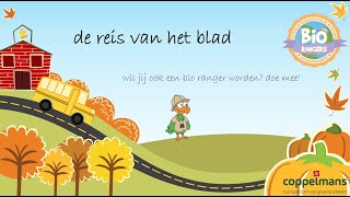 DE REIS VAN HET BLAD🍂 [upl. by Ag]