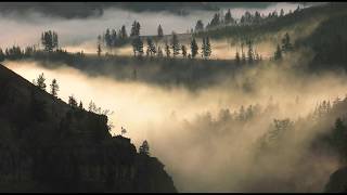 Fall Splendor in Yellowstone [upl. by Clea]