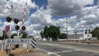 Level Crossing Benalla VIC Australia [upl. by Kipper838]