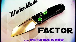 Review Winterblade FACTOR The Most Interesting Knife I’ve Ever Experienced [upl. by Ming]