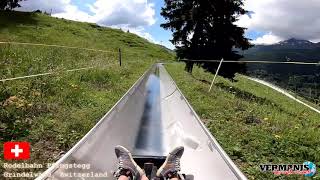 Rodelbahn Pfingstegg  Grindelwald [upl. by Nawtna]