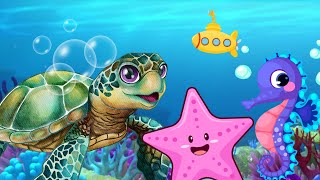 Counting Sea Creatures  Underwater Number Fun [upl. by Shu]