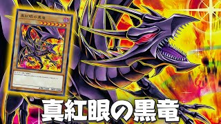 Triple RedEyes 🔥  RedEyes Black Dragon DECK 2024 ft RedEyes Flare Metal Dragon  YGOPRO [upl. by Merrell]