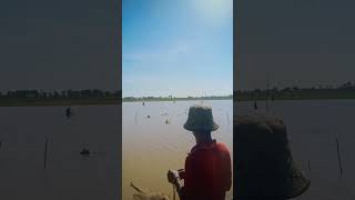 fishing of lake ta deng fishing shortsviral viral shortsyoutube fishinglife pleasesubscribe [upl. by Noet716]