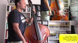 Che cossè lamor  Vinicio Capossela  Bass Cover Ita [upl. by Etnoved]