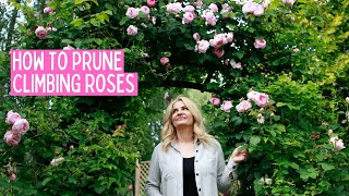 HOW TO PRUNE CLIMBING ROSES [upl. by Azrim]