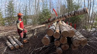 ATV Winch Powered Timber Trailer KranmanPart 2atv log hauler [upl. by Delogu]