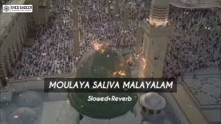 Moulaya Saliva Malayalam  SlowedReverb Naat Slowed Reverb [upl. by Sumaes]