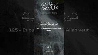 Sourate AlAnam 125  Yasser AlDossari quran quranrecitation islamicvideo islam islamic [upl. by Nort]