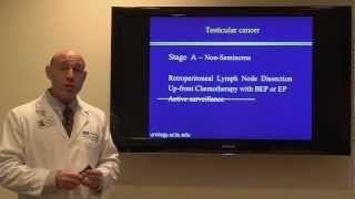 Treatment for Testicular Cancer Dr Mark S Litwin  UCLAMDChat [upl. by Launce183]