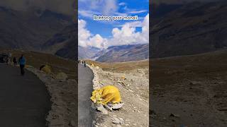 Rohtang pass rohtang rohtangpassmanali beautiful mountains manali travel love viralshort [upl. by Sisco]