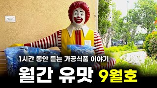 1시간 동안 듣는 가공식품 이야기ㅣ월간 유맛 9월호 [upl. by Adianes425]