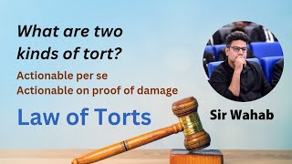 Kinds of Torts  Actionable per se and Actionable on proof of damage  Law of Torts [upl. by Gaivn444]